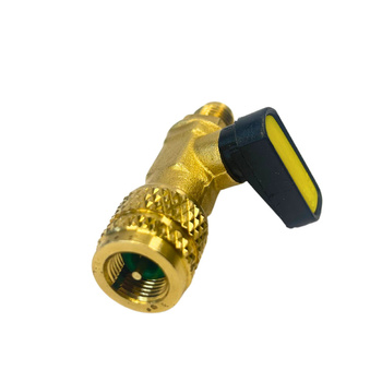 Valve pour bouteille jetable avec réfrigérant R600 /R290