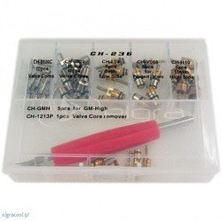 Jeu de vannes CH-236